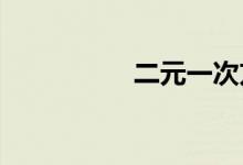 二元一次方程通吃解法