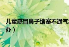 儿童感冒鼻子堵塞不通气怎么办（感冒鼻子堵塞不通气怎么办）