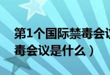 第1个国际禁毒会议是在哪里（第1个国际禁毒会议是什么）