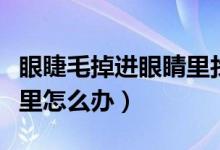 眼睫毛掉进眼睛里找不到了（眼睫毛掉进眼睛里怎么办）