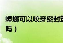 蟑螂可以咬穿密封塑料袋吗（蟑螂会咬塑料袋吗）