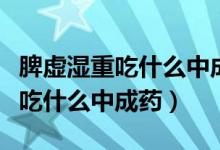 脾虚湿重吃什么中成药补中益气丸（脾虚湿重吃什么中成药）