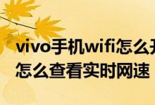 vivo手机wifi怎么开显示实时网速（vivos10怎么查看实时网速）