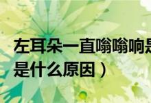 左耳朵一直嗡嗡响是什么原因（左耳朵嗡嗡响是什么原因）