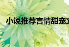 小说推荐言情甜宠文有肉长篇（小说甜文）