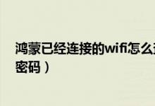 鸿蒙已经连接的wifi怎么查看密码（鸿蒙系统怎么查看wifi密码）