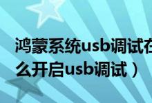 鸿蒙系统usb调试在哪发送通知（鸿蒙系统怎么开启usb调试）