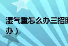 湿气重怎么办三招助你快速祛湿（湿气重怎么办）