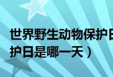 世界野生动物保护日是哪天（世界野生动物保护日是哪一天）