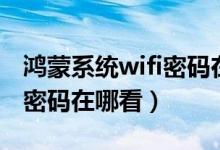 鸿蒙系统wifi密码在哪个文件（鸿蒙系统wifi密码在哪看）