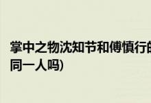 掌中之物沈知节和傅慎行的关系(掌中之物沈知节和傅慎行是同一人吗)