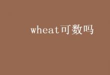 教育资讯：wheat可数吗