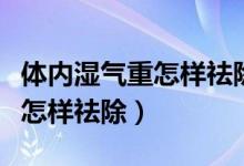 体内湿气重怎样祛除其实挺简单（体内湿气重怎样祛除）