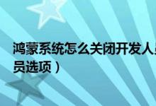 鸿蒙系统怎么关闭开发人员选项（鸿蒙系统怎么关闭开发人员选项）