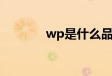 wp是什么品牌（wp是什么）