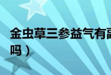 金虫草三参益气有副作用吗（金虫草三参有用吗）