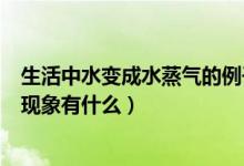 生活中水变成水蒸气的例子有什么（生活中水变成水蒸气的现象有什么）