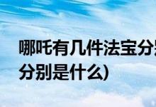 哪吒有几件法宝分别是什么(哪吒的几件法宝分别是什么)