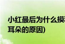 小红最后为什么摸秋水耳朵(小红最后摸秋水耳朵的原因)