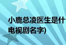 小鹿总凌医生是什么电视剧(小鹿总凌医生的电视剧名字)