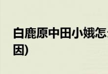 白鹿原中田小娥怎么死的(白鹿原中田小娥死因)