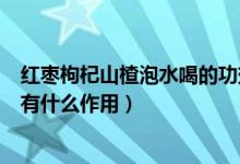 红枣枸杞山楂泡水喝的功效与作用（红枣和枸杞一起泡水喝有什么作用）