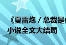 《夏雷炮／总裁是你推我入地狱阿年霍锦城》小说全文大结局