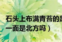 石头上布满青苔的是哪一面（石头上的青苔的一面是北方吗）