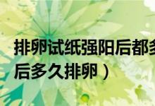 排卵试纸强阳后都多久会排卵（排卵试纸强阳后多久排卵）