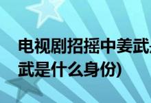 电视剧招摇中姜武是什么人(电视剧招摇中姜武是什么身份)