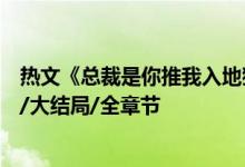 热文《总裁是你推我入地狱阿年霍锦城》夏雷炮开全文阅读/大结局/全章节