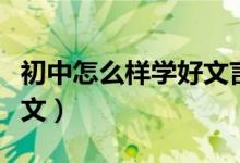 初中怎么样学好文言文（初中生如何学好文言文）