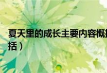 夏天里的成长主要内容概括20字（夏天里的成长主要内容概括）