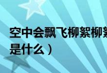 空中会飘飞柳絮柳絮是指（现在外面飘的飞絮是什么）