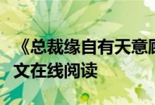 《总裁缘自有天意顾雪晴龙哲瀚》夏小霜开全文在线阅读