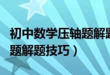 初中数学压轴题解题技巧解析（初中数学压轴题解题技巧）