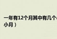 一年有12个月其中有几个小月（一年12个月有几个大月几个小月）