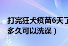 打完狂犬疫苗6天了能洗澡么（打完狂犬疫苗多久可以洗澡）