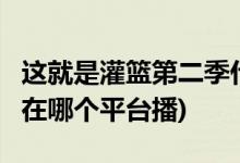 这就是灌篮第二季什么时候播出(这就是灌篮2在哪个平台播)