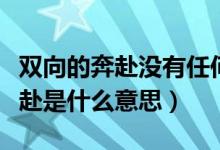 双向的奔赴没有任何意义什么意思（双向的奔赴是什么意思）