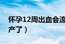 怀孕12周出血会流产吗（怀孕出血多少是流产了）