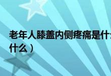 老年人膝盖内侧疼痛是什么情况（中老年人膝盖内侧疼是为什么）