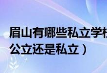 眉山有哪些私立学校比较好（眉山艺术学校是公立还是私立）