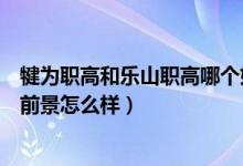 犍为职高和乐山职高哪个好（四川省犍为职业高级中学就业前景怎么样）