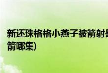 新还珠格格小燕子被箭射是第几集(新版小燕子被五阿哥射中箭哪集)