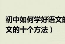 初中如何学好语文的最佳方法（初中生学好语文的十个方法）