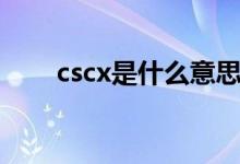 cscx是什么意思（cscx是什么意思）