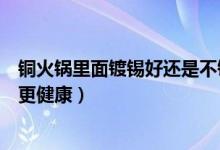 铜火锅里面镀锡好还是不镀锡好（铜火锅镀锡和不镀锡哪个更健康）