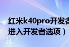 红米k40pro开发者选项调试（红米k40怎么进入开发者选项）