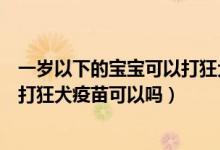 一岁以下的宝宝可以打狂犬疫苗吗（请问一岁两个月的宝宝打狂犬疫苗可以吗）